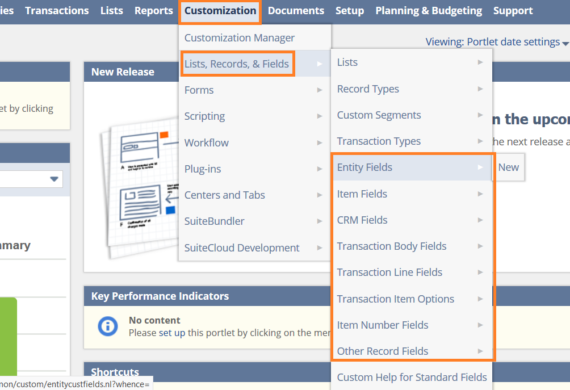 NetSuite-Customization