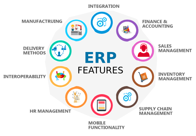 Netsuite ERP Features