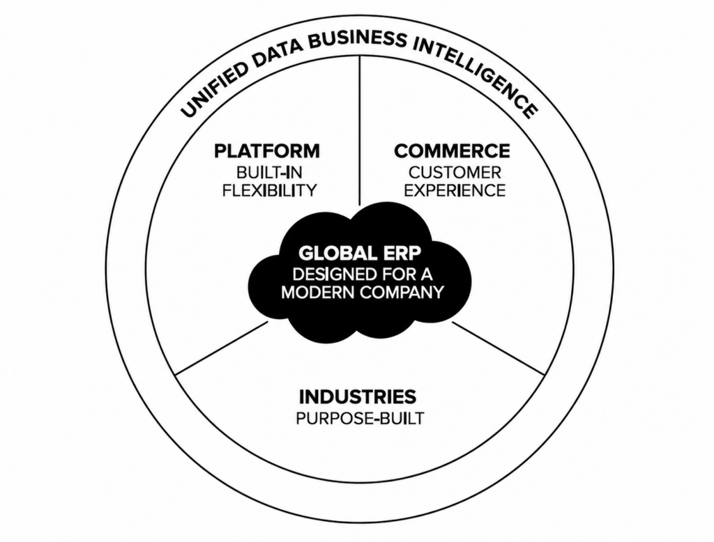 Global ERP Design for a Modern Company Global ERP Design for a Modern Company